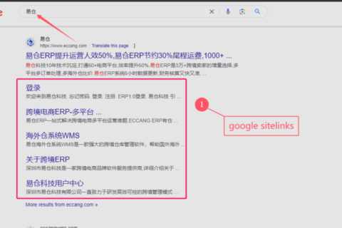 How to implement Google sitelink site links in Google SEO?