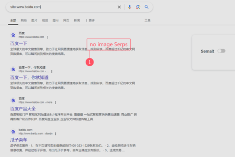 Why doesn't Google Search Engine SEO display images in search results pages (SERPs)?